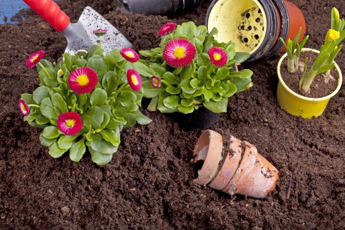 Landscaping Plumstead website cookie policy illustration