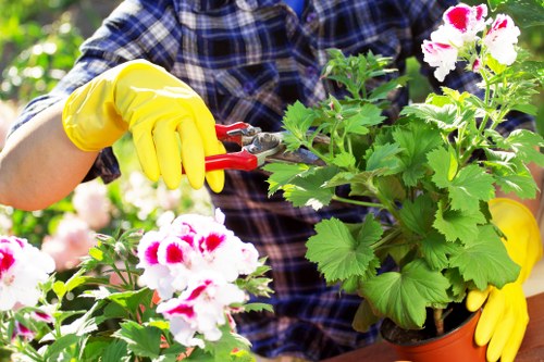 Updated cookie policy notice for Landscaping Plumstead
