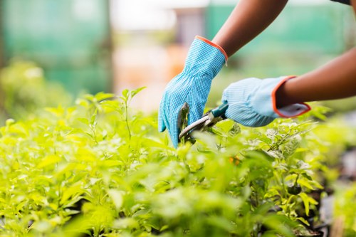 Encrypted payment protection for Landscaping Plumstead