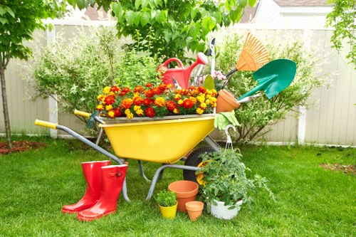 Low-maintenance landscaping features in Plumstead