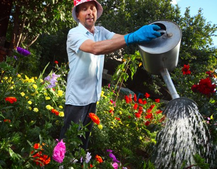 Safe and professional landscaping work in Plumstead with protective gear