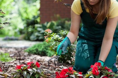 Final resolution stage for a landscaping service complaint