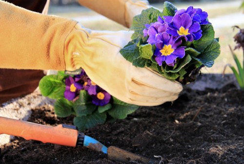 Risk assessment planning for a Plumstead landscaping project