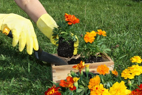 Site manager assessing labour conditions during a landscaping audit