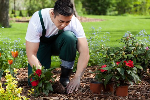 Professional artificial grass installation process in Plumstead