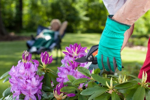 Booking and payment conditions for landscaping work