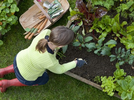 Liability and site responsibility clauses for garden services