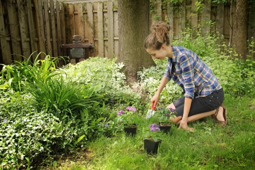 French drain installation for a waterlogged lawn in Plumstead