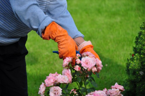 Fresh turf and soft landscaping features for a Plumstead outdoor space