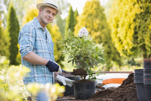 Prepared garden beds and planting layout in a Plumstead garden