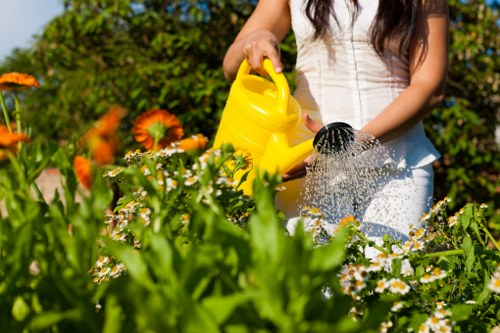 Low-maintenance soft landscaping for a Plumstead home or business