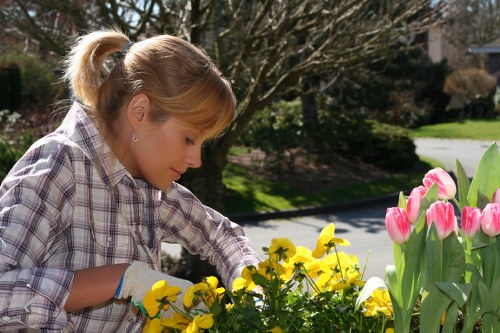 Governing law and final acceptance for landscaping terms